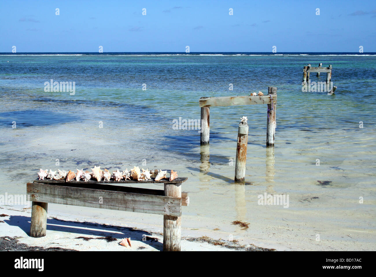 Atemberaubenden tropischen Sandstrand Paradise und karibische Meer in Armbergris Caye, Belize Reisen Tourismus Urlaub Freizeit Baum palm Stockfoto