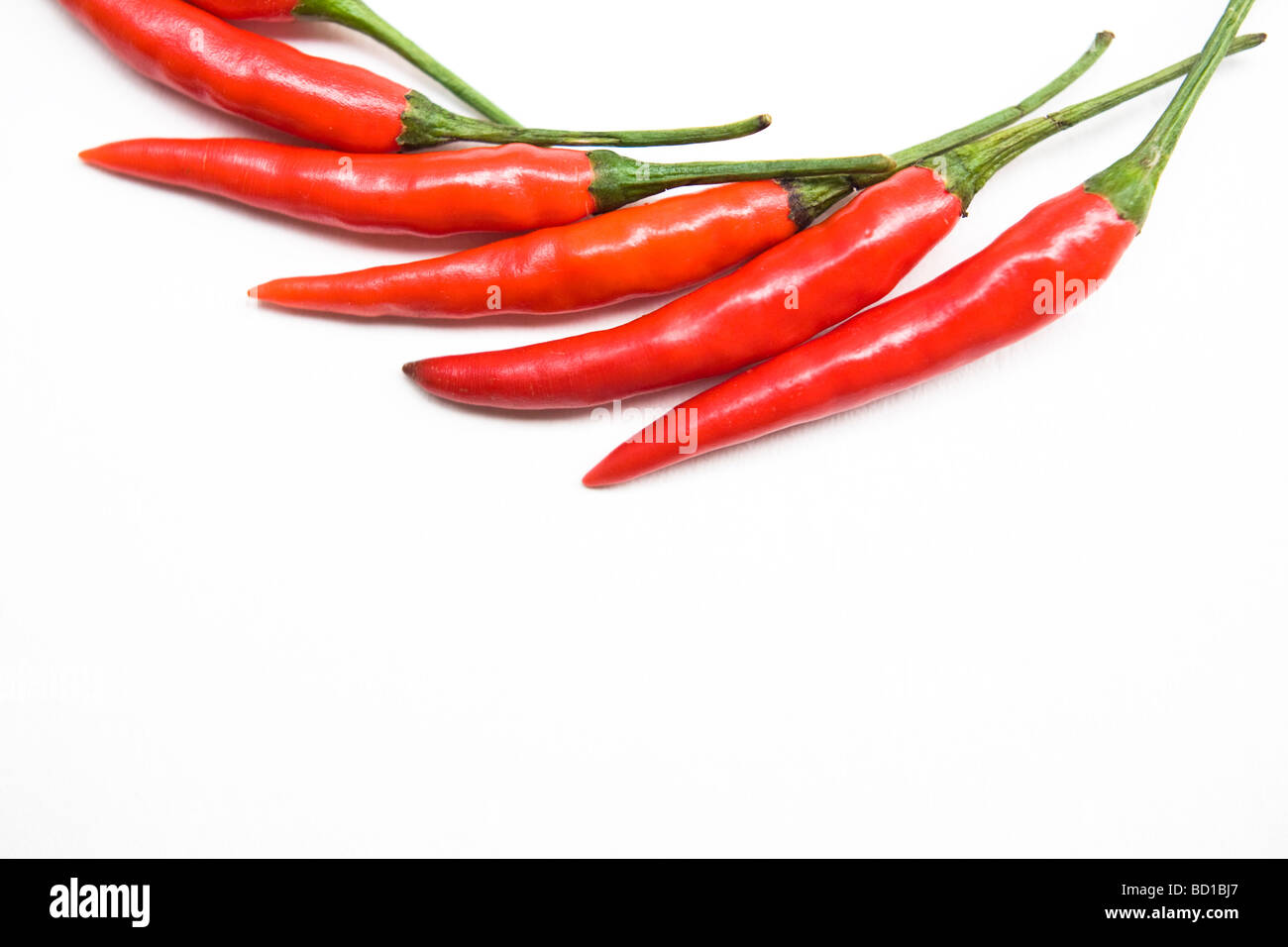 Rote Chilischoten Stockfoto