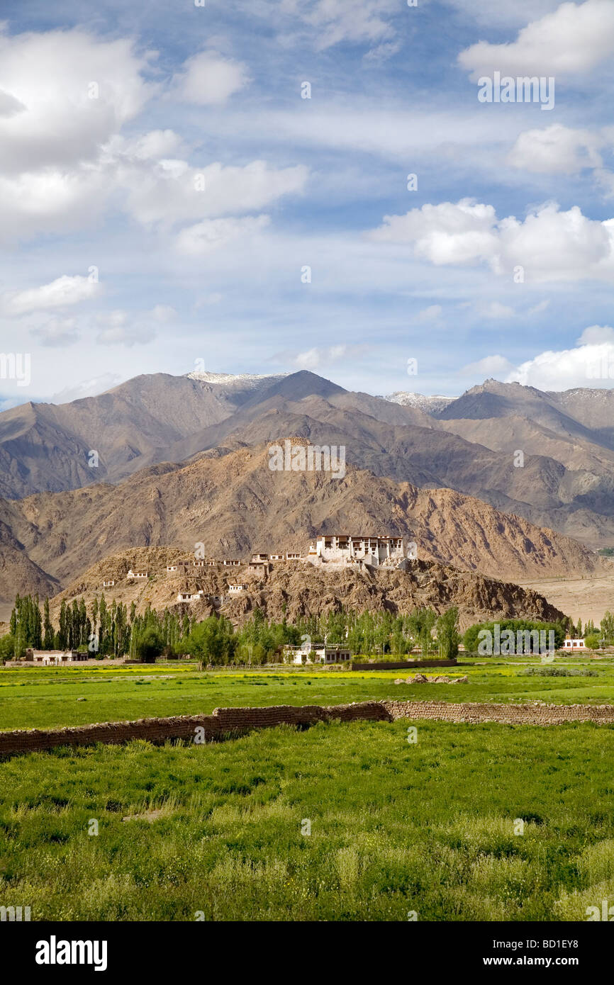 Ein buddhistisches Kloster auf einem Hügel in der malerischen Ladakh Stockfoto