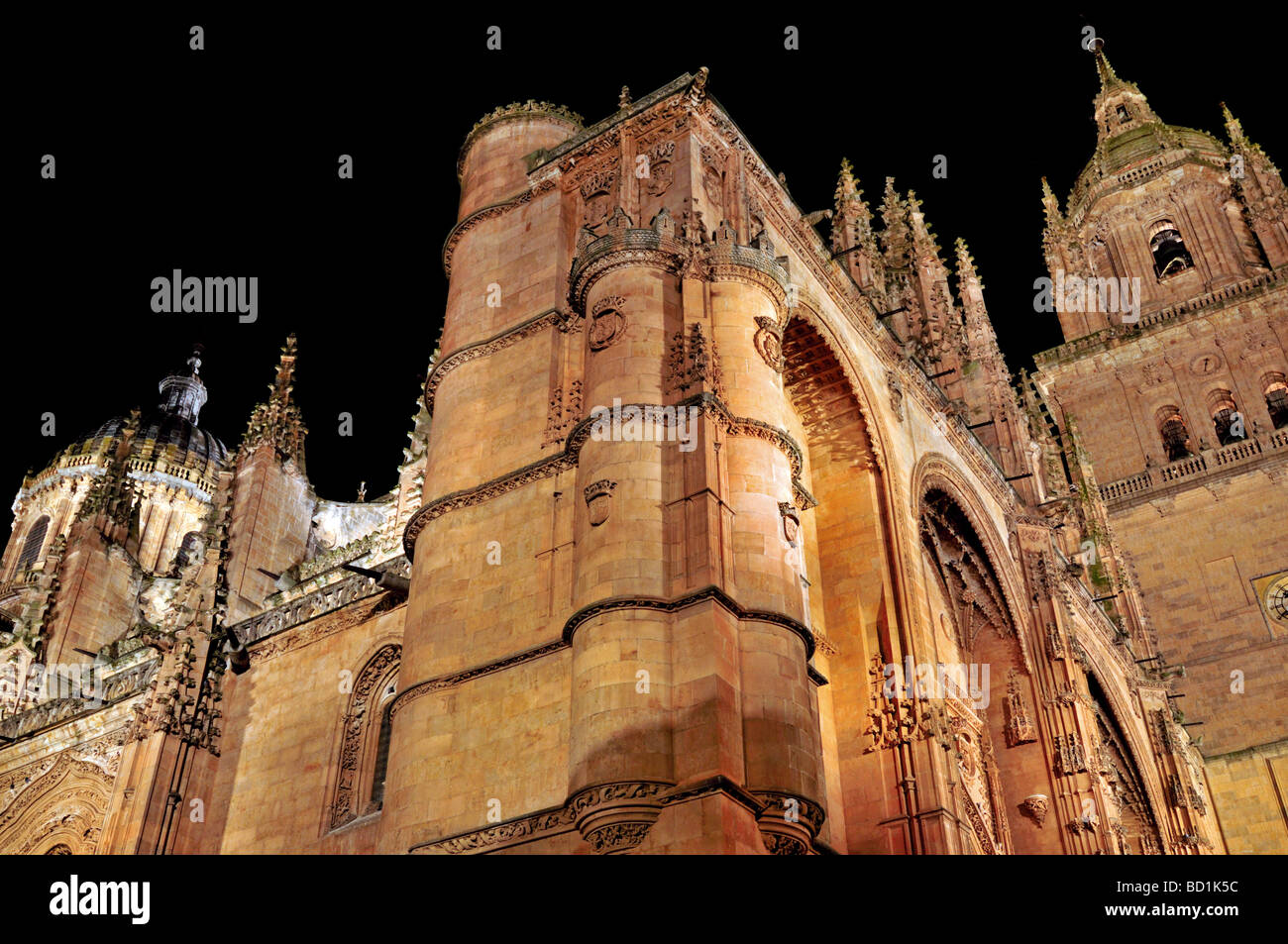Spanien, Salamanca: Kathedralen bei Nacht Stockfoto