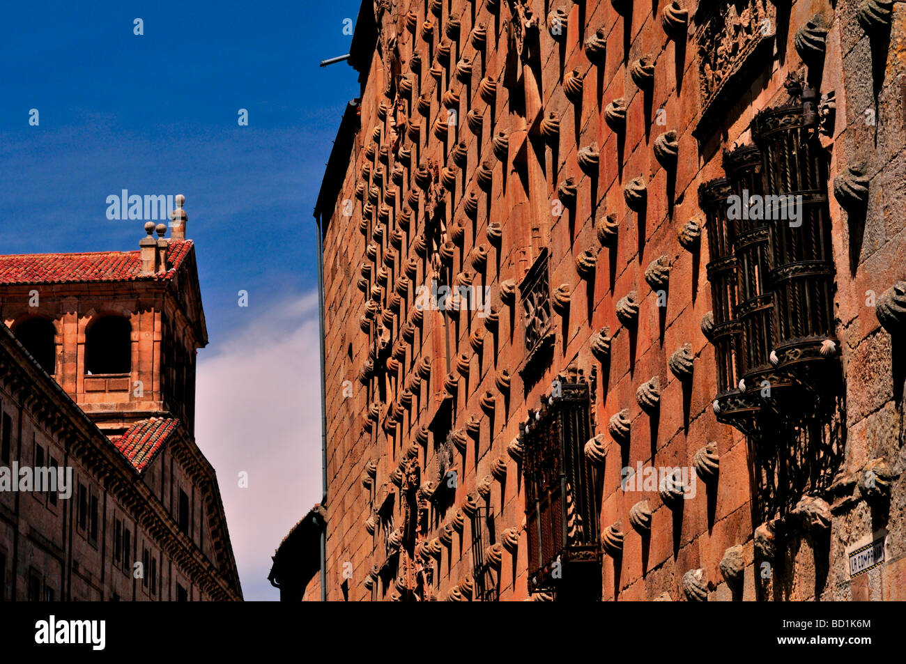 Spanien, Slamanca: Kurious Detail der Casa de Las Conchas Stockfoto