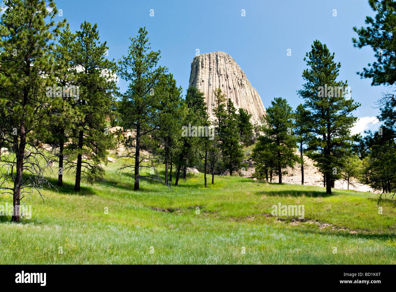 Ansicht des Devils Tower in Wyoming Stockfoto