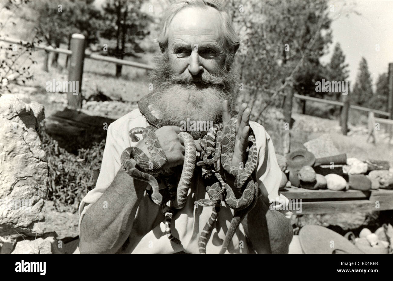 Naturforscher Marion Rose halten Schlangen Stockfoto