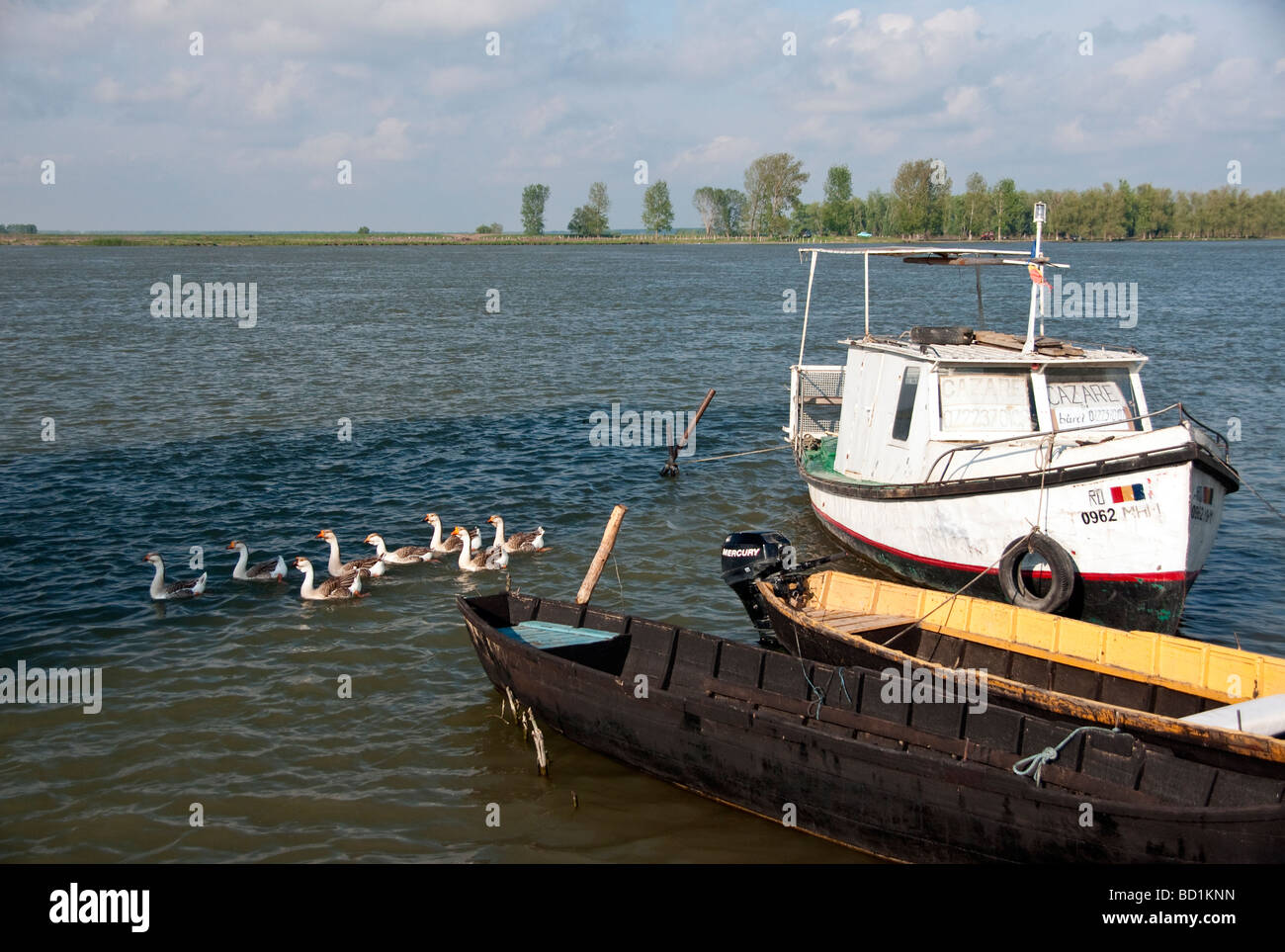 Donau-Kanal im rumänischen Donaudelta mit Booten und Wasservögel in der Nähe von Tulcea Stockfoto