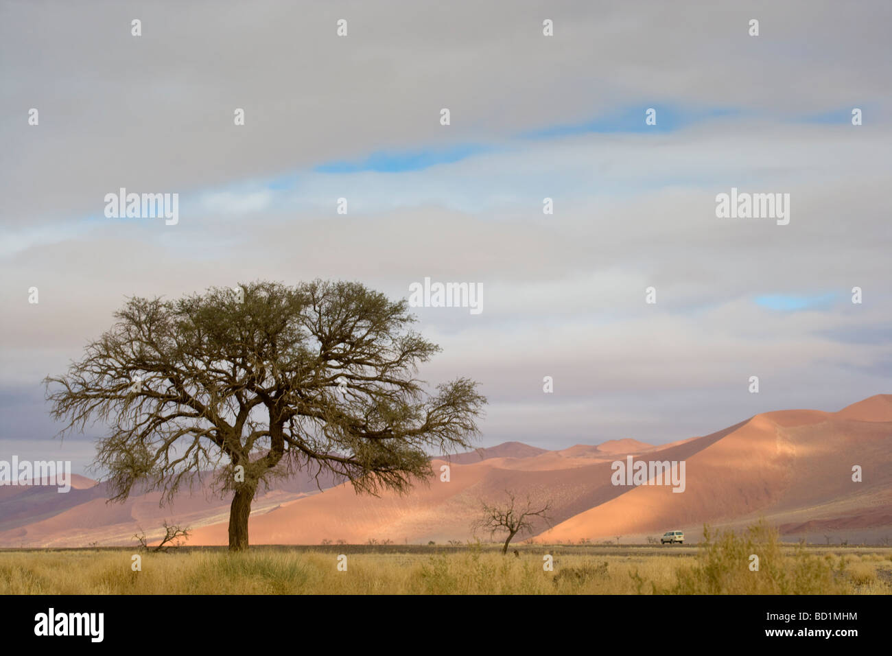 Sonnenaufgang in den Dünen von Sossusvlei in der Wüste Namib Namibia Afrika Stockfoto