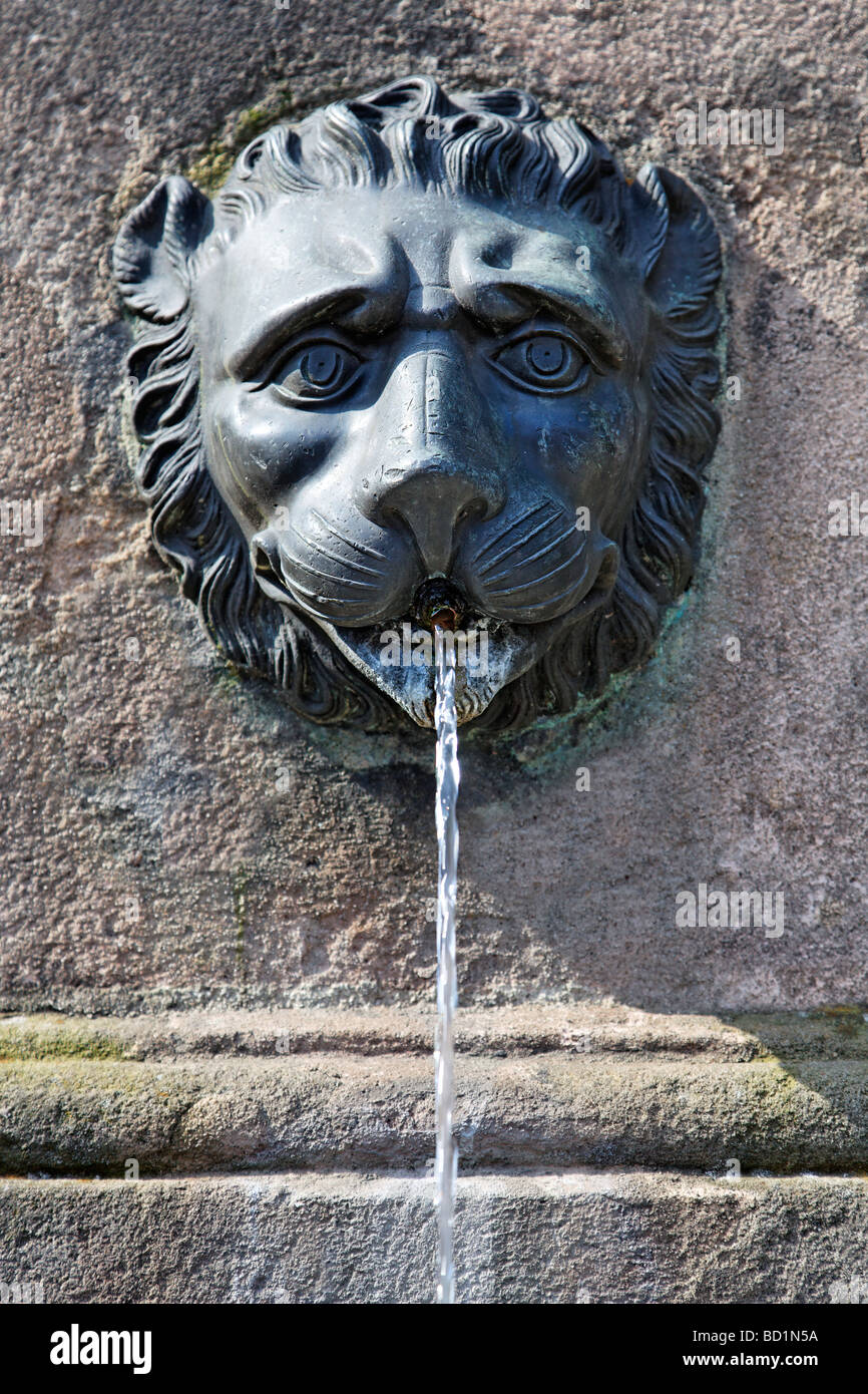 Löwenkopf, Dürer-Pirckheimer-Brunnen, Brunnen der Freundschaft, Max Platz, Altstadt, Nürnberg, Mittelfranken Stockfoto