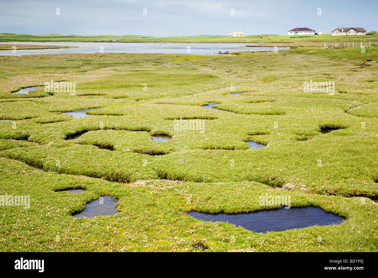 Salzwiesen in der Nähe von hebt Sands North Uist auf der Western Isles of Scotland Stockfoto