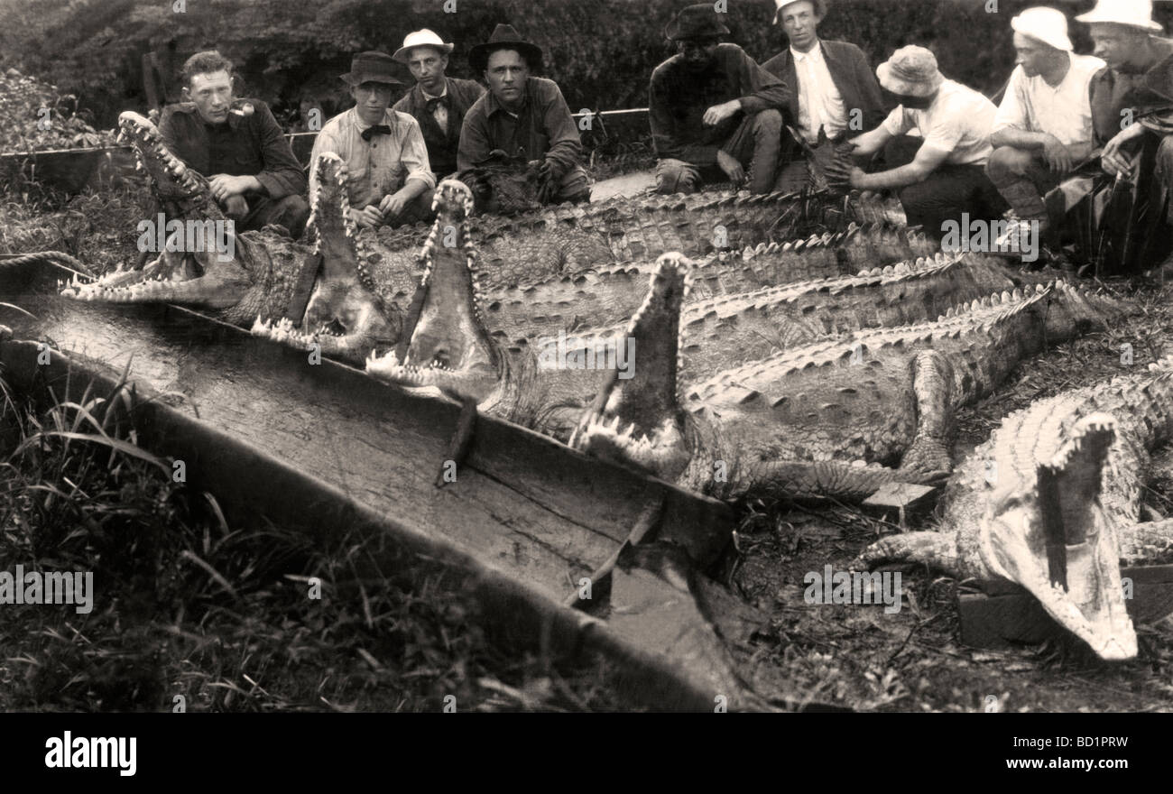 Jäger posiert mit Bayano Fluss Alligatoren Stockfoto