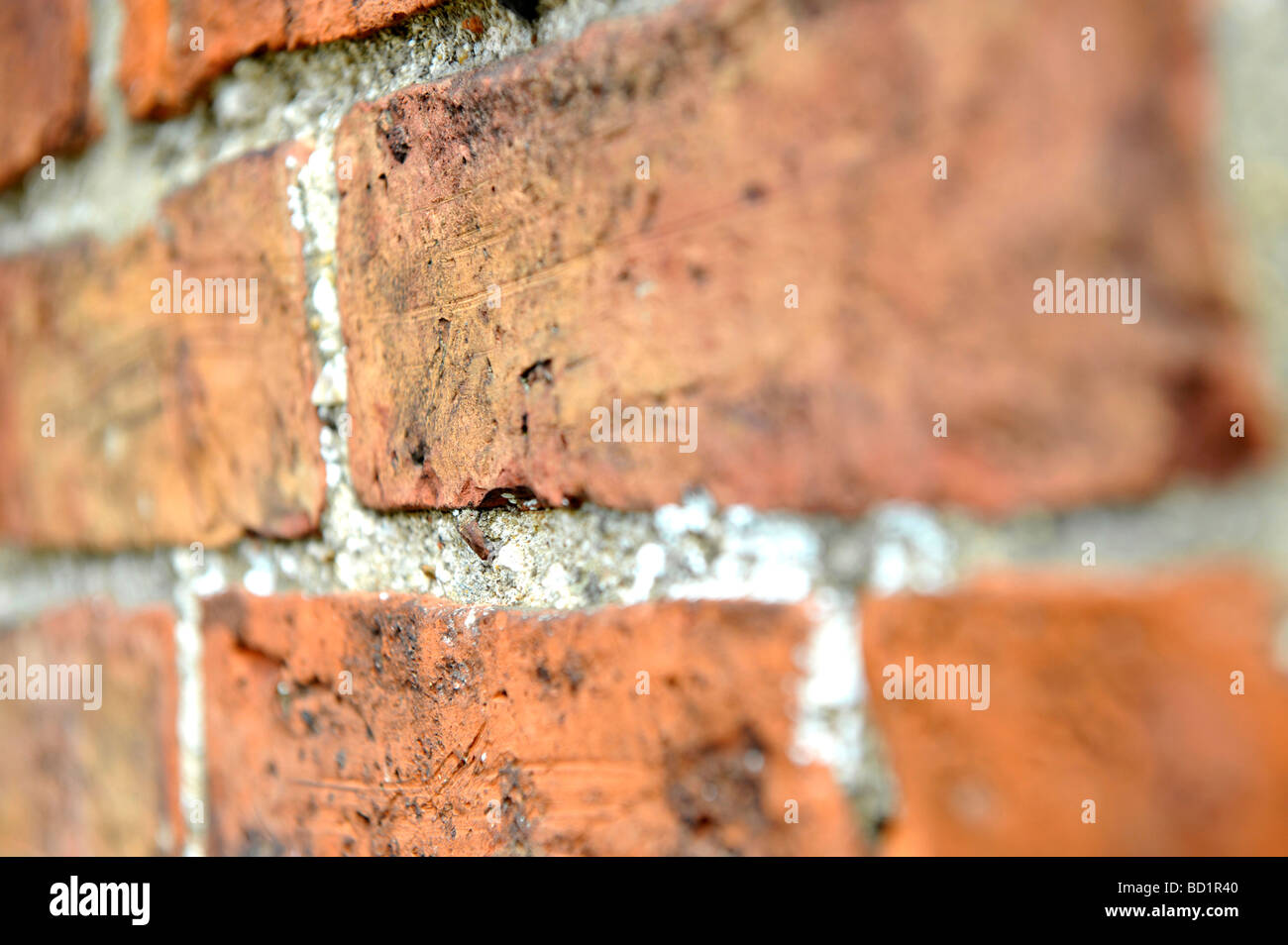 ein Close Up der rote Stein Wand Stockfoto