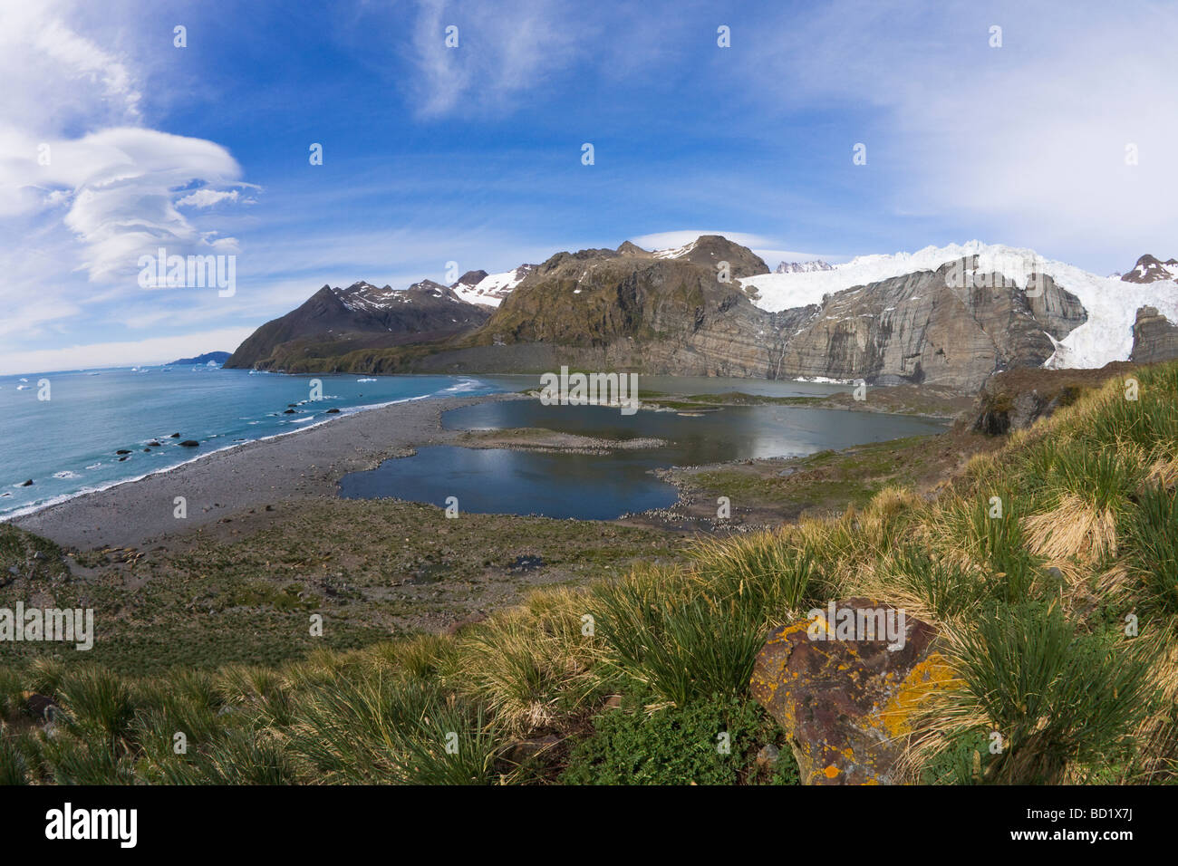 Hängende Gletscher auf Gold Harbour Südgeorgien Antarktis Stockfoto