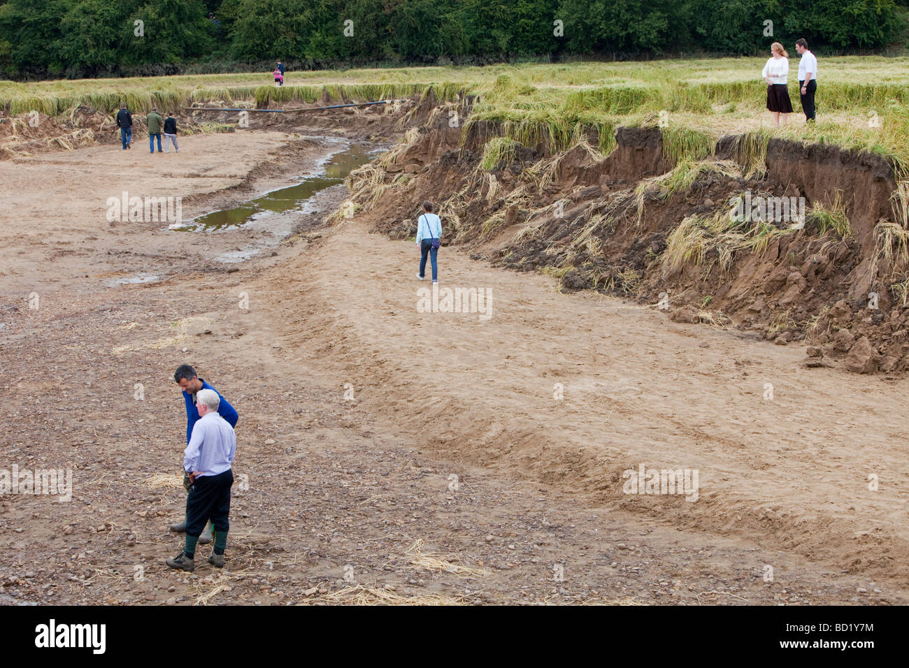 Die Durham Canyon durch Überschwemmungen verursacht, der Tausende Tonnen von Erde, Durham, Großbritannien abgespült. Stockfoto