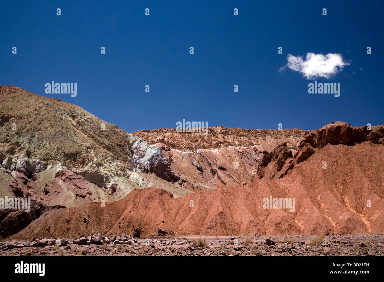 Die erstaunlichen Farben der Mantacilla in der Nähe von San Pedro de Atacama, Chile Stockfoto