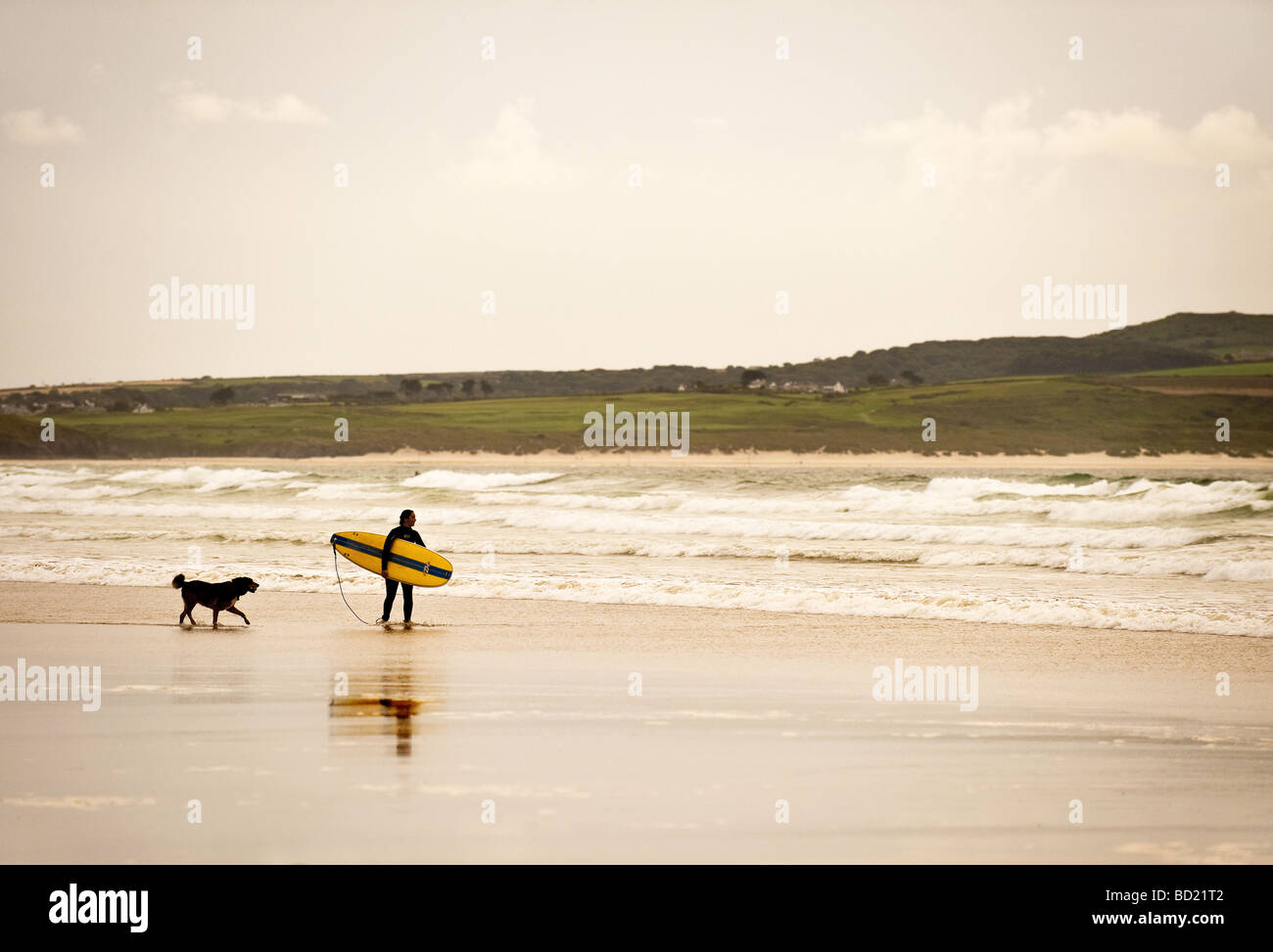 Surfer und seinem Hund auf Gwithian Towans Strand in Cornwall. Stockfoto
