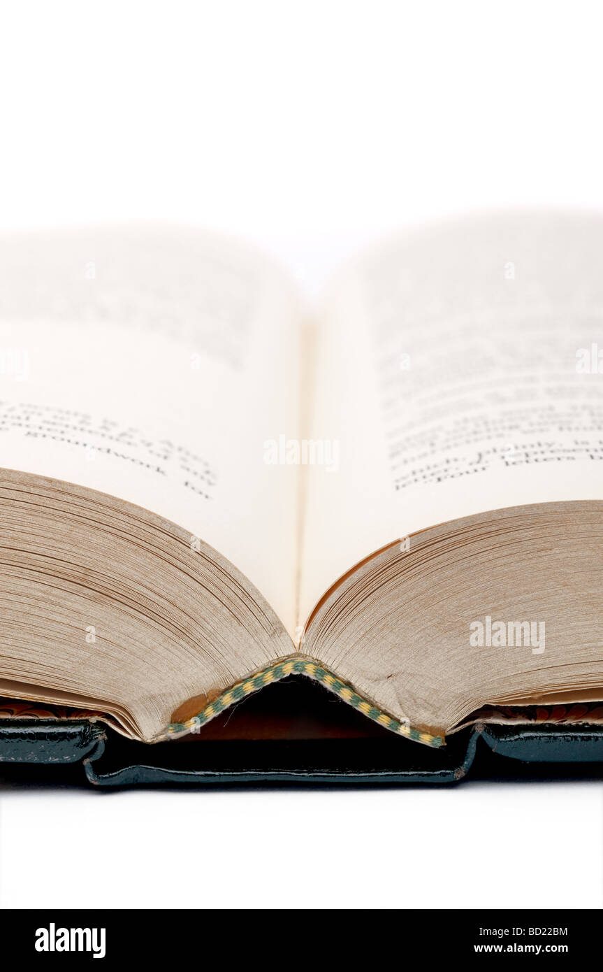 vertikale flachen Fokus Nahaufnahme eines alten aufgeschlagenen Buches Stockfoto