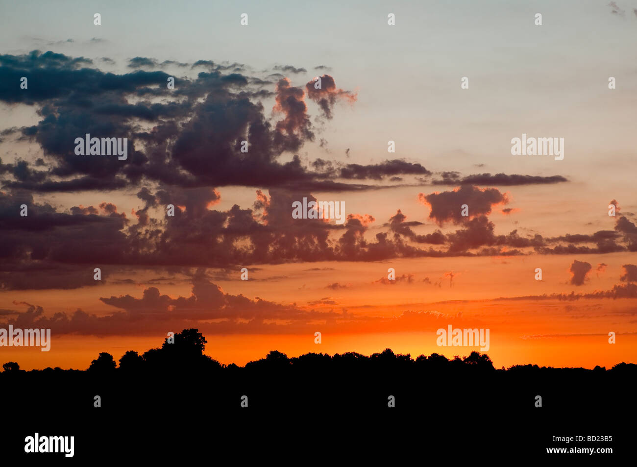 Dawn / Sonnenaufgang / zunächst Licht mit Cumulus und Altocumulus-Wolken - Indre-et-Loire, Frankreich. Stockfoto