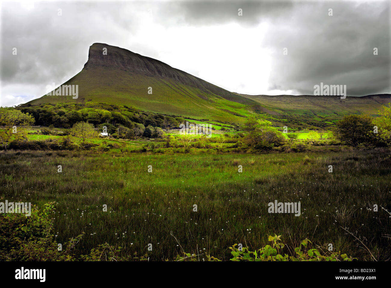 Benbulbin Berg County Sligo Irland Stockfoto