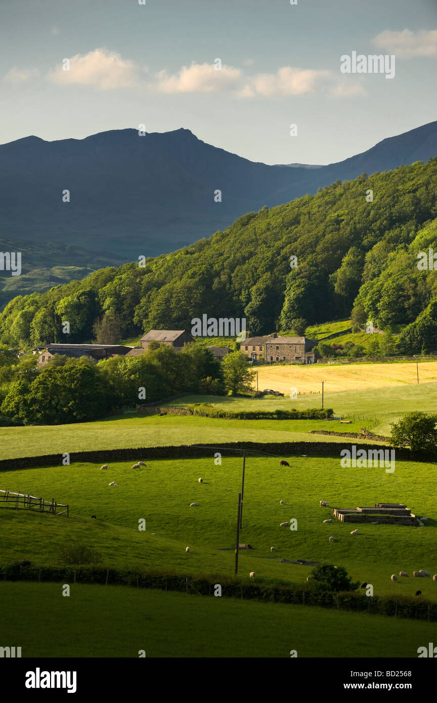 Broughton in Furness Lake District Vereinigtes Königreich Stockfoto