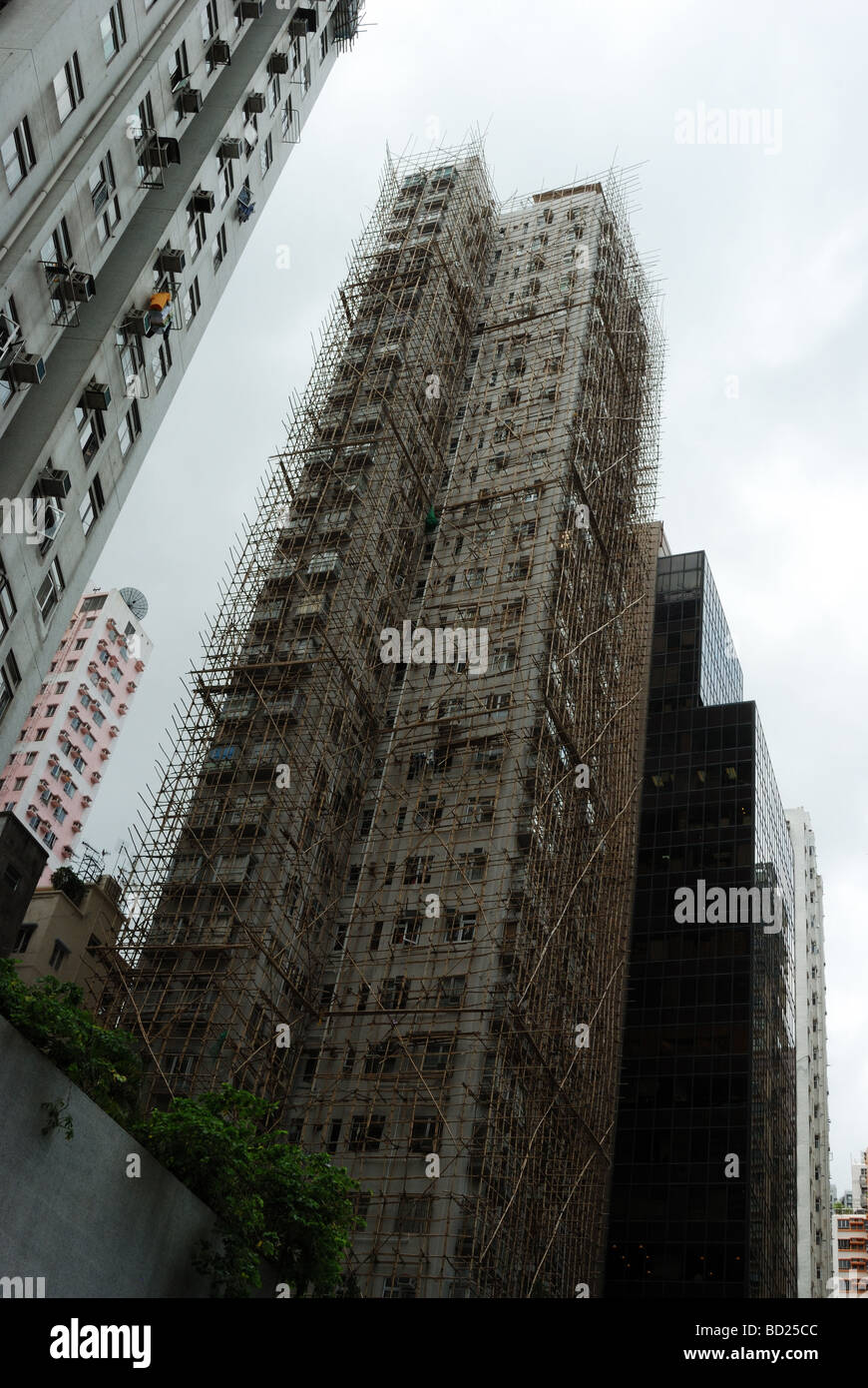 Bambus gerstbau hochhaus -Fotos und -Bildmaterial in hoher Auflsung   Alamy