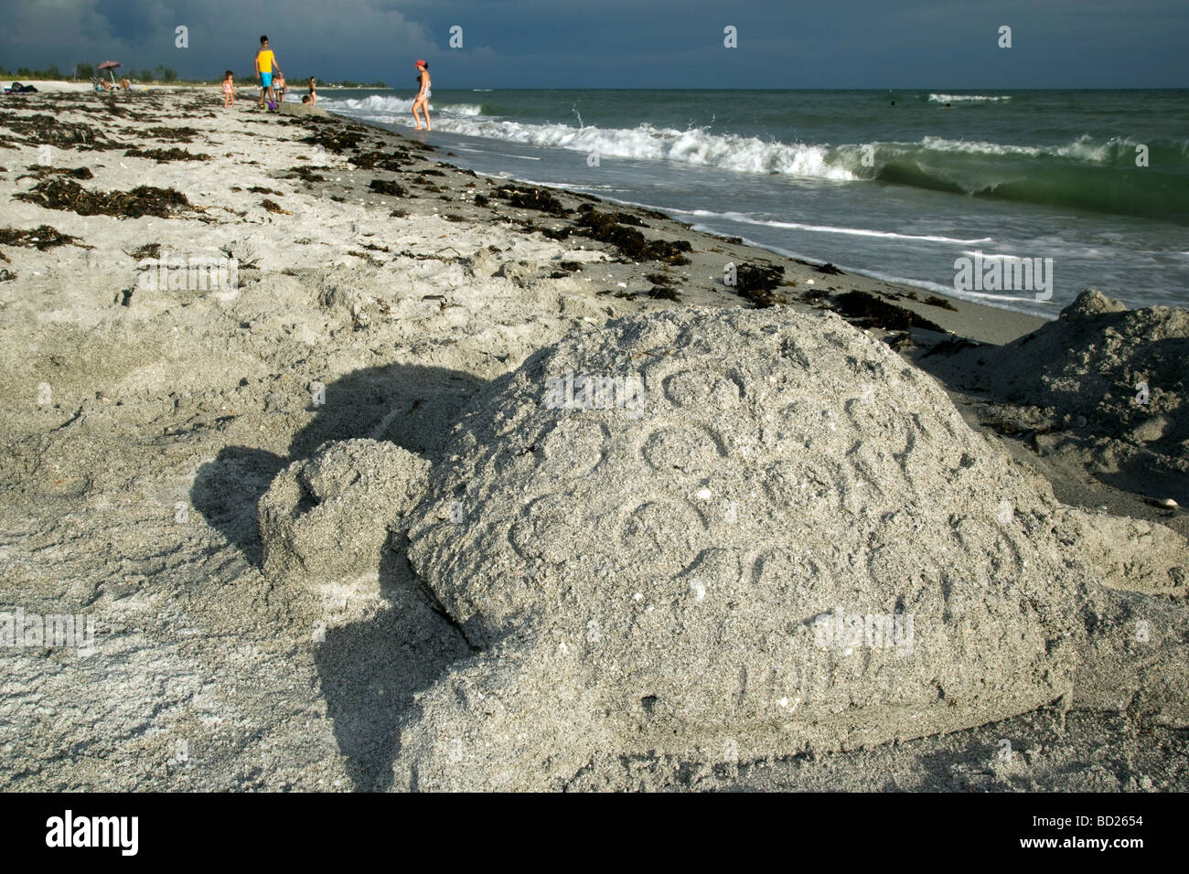 Sandskulpturen Meeresschildkröte - Bowmans Beach - Sanibel Island, Florida und Umgebung: Stockfoto