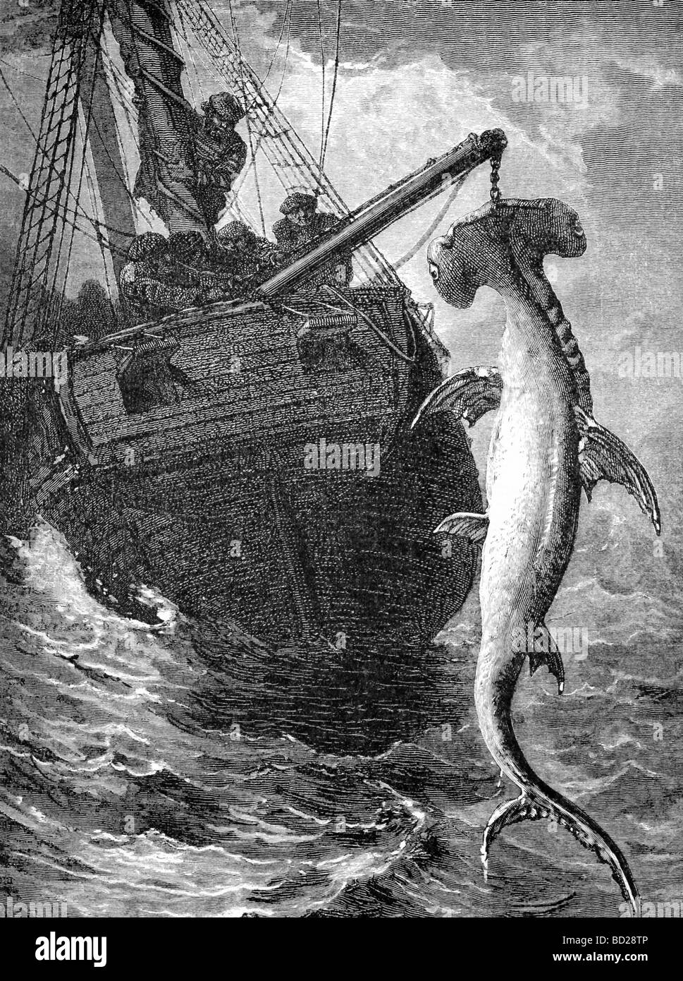 Diese 1861-Illustration zeigt Segler Erfassung einen Hammerhai vor der Küste von Afrika. Stockfoto