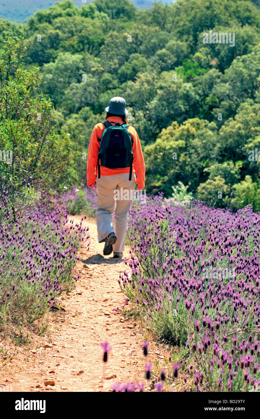Spanien, Extremadura: Frau zu Fuß in der Natur Park Monfragüe Stockfoto