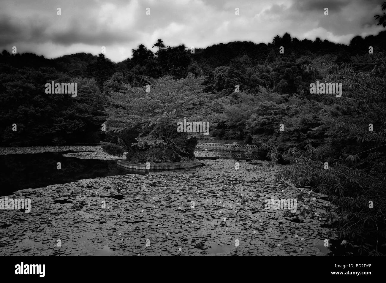 Teich des japanischen Gartens an Ryōan-Ji-Tempel. Kyoto. Kansai (aka Kinki) Region. Japan Stockfoto