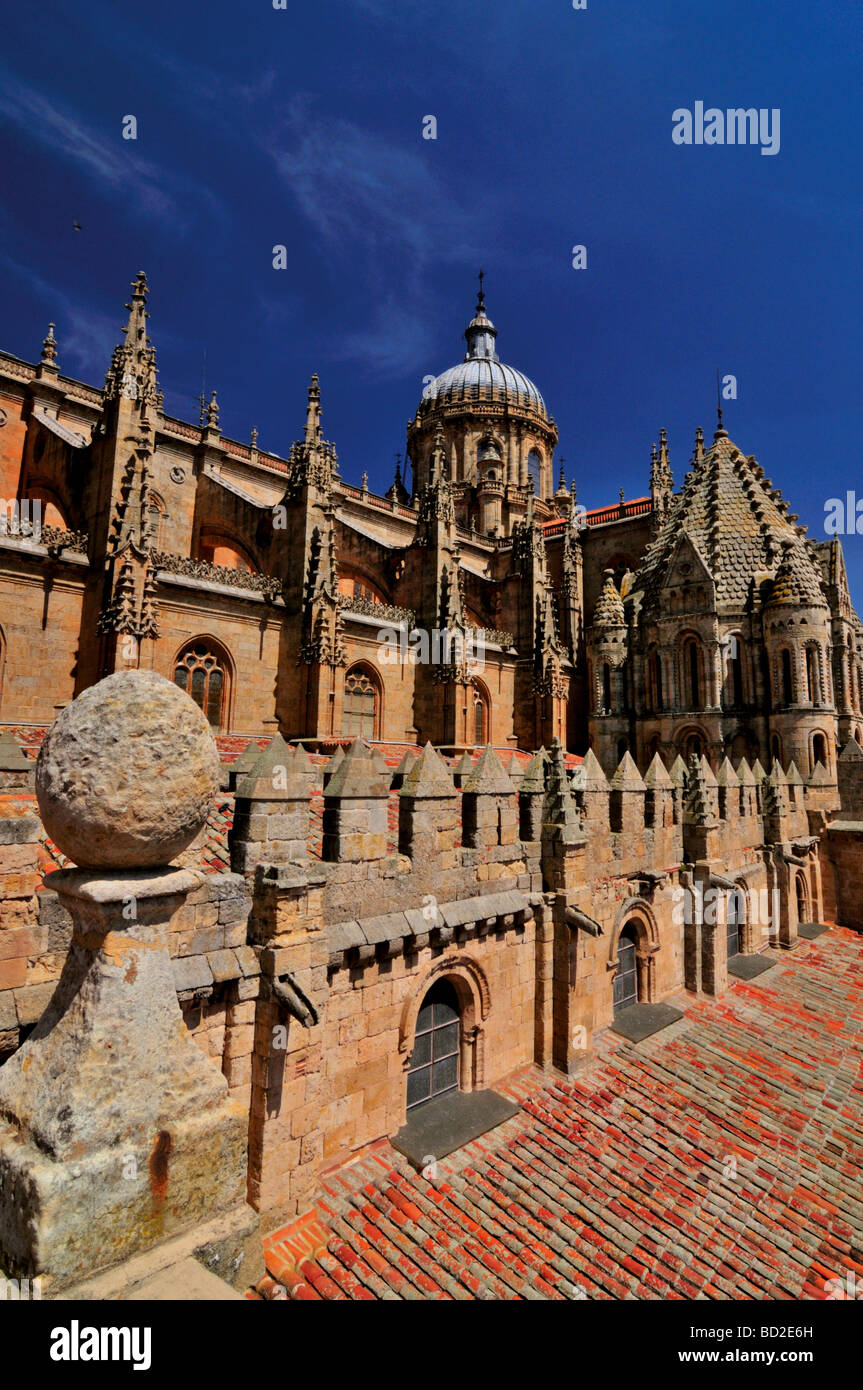 Spanien, Salamanca: Blick auf die neue und die alte Kathedrale von der Terrasse von den Türmen des Doms. Stockfoto