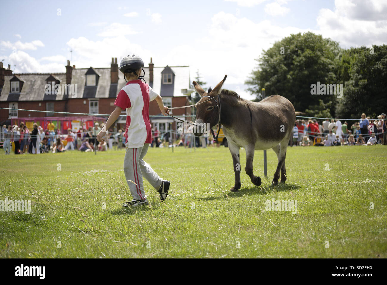 Esel-Derby, alten englischen traditionellen Sommer-Praxis von kleinen Städten und Dörfern rund um das Vereinigte Königreich, über hundert Jahre Stockfoto