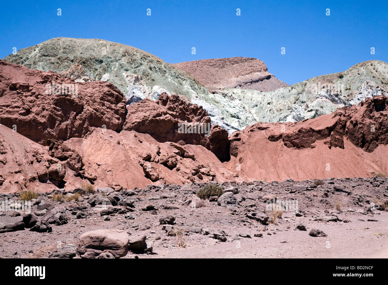 Die erstaunlichen Farben der Mantacilla in der Nähe von San Pedro de Atacama, Chile Stockfoto