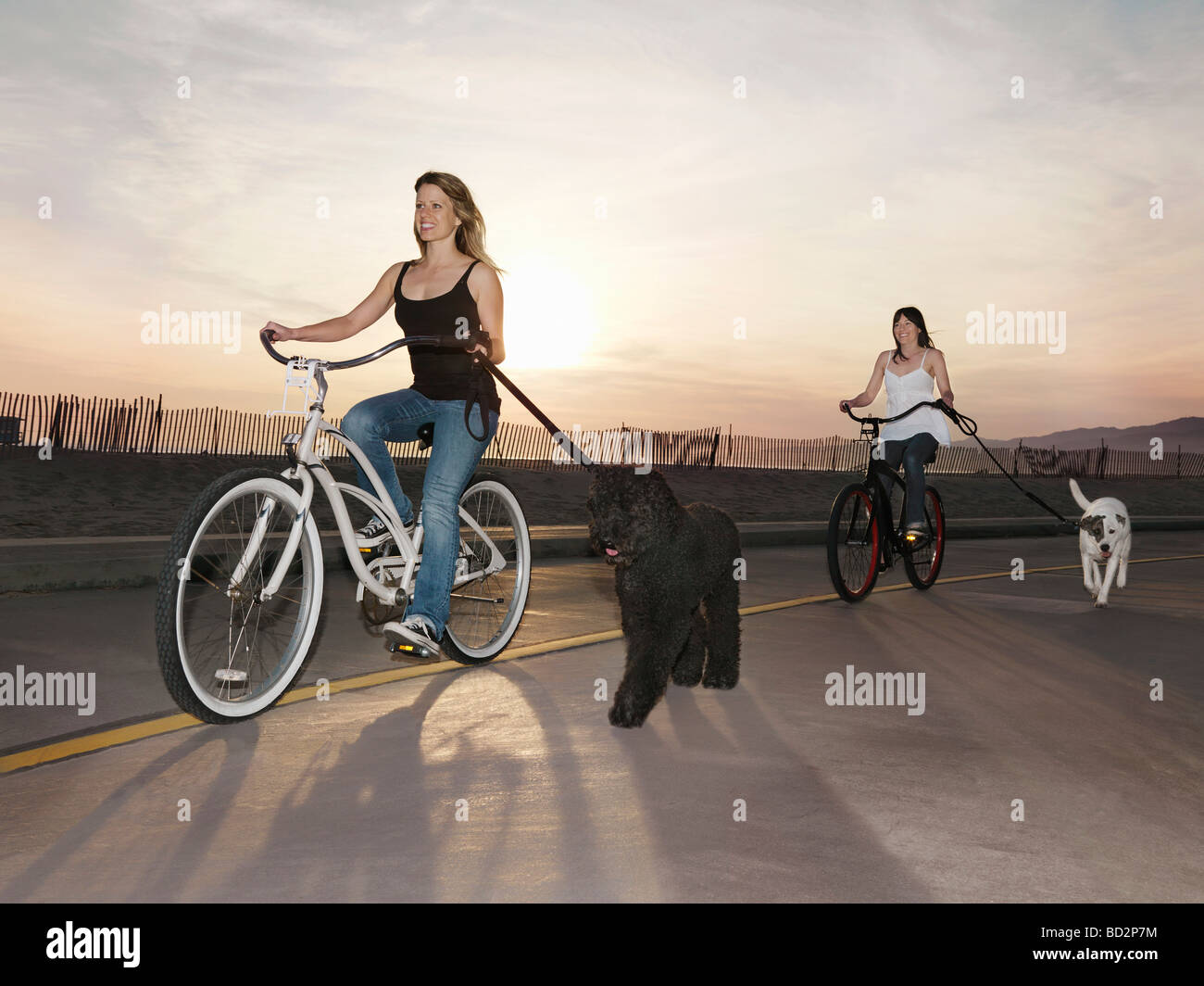 Frauen mit Hunden an der Leine Radfahren Stockfoto