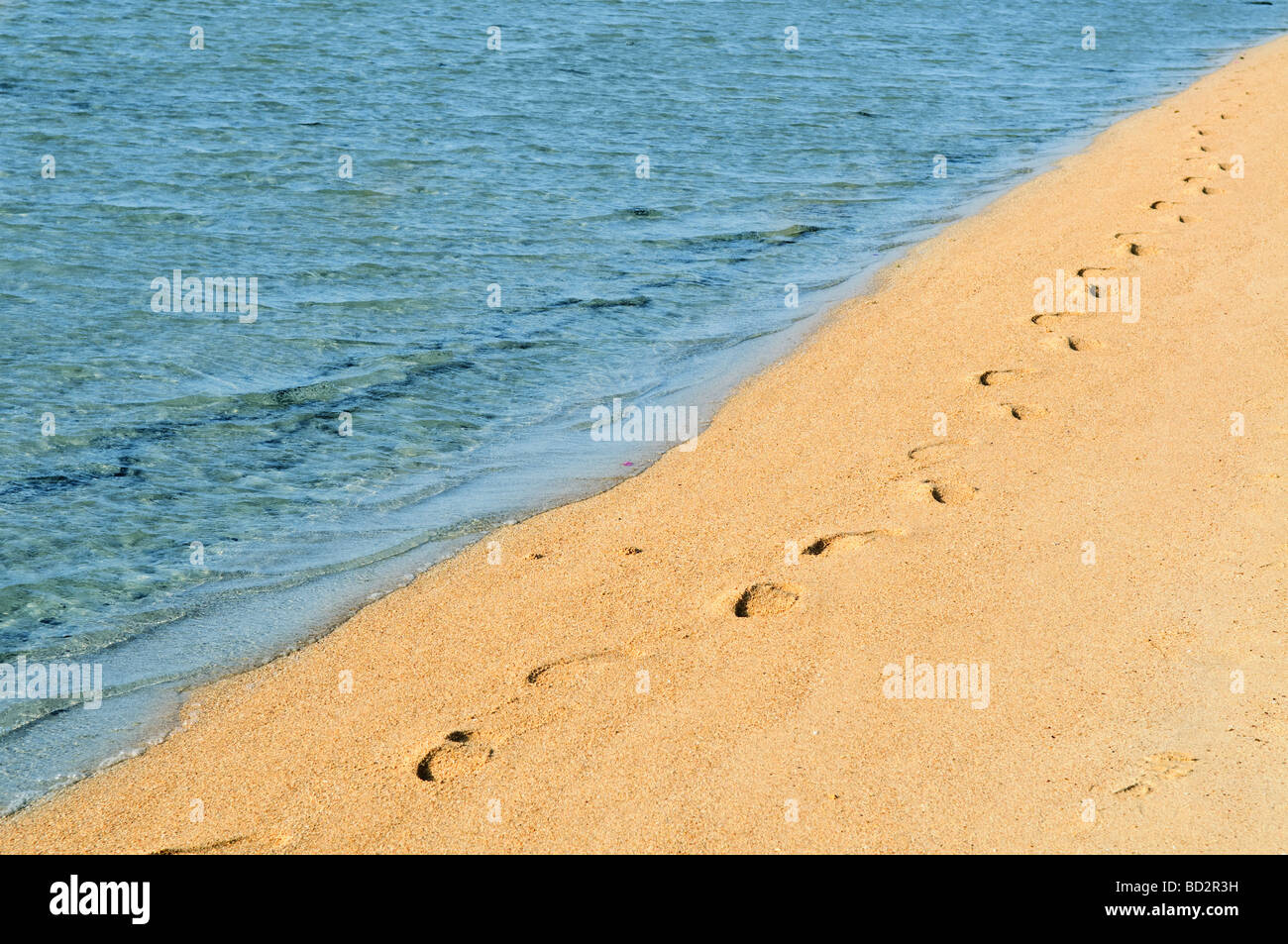 Fußspuren im Sand an der Küste Stockfoto