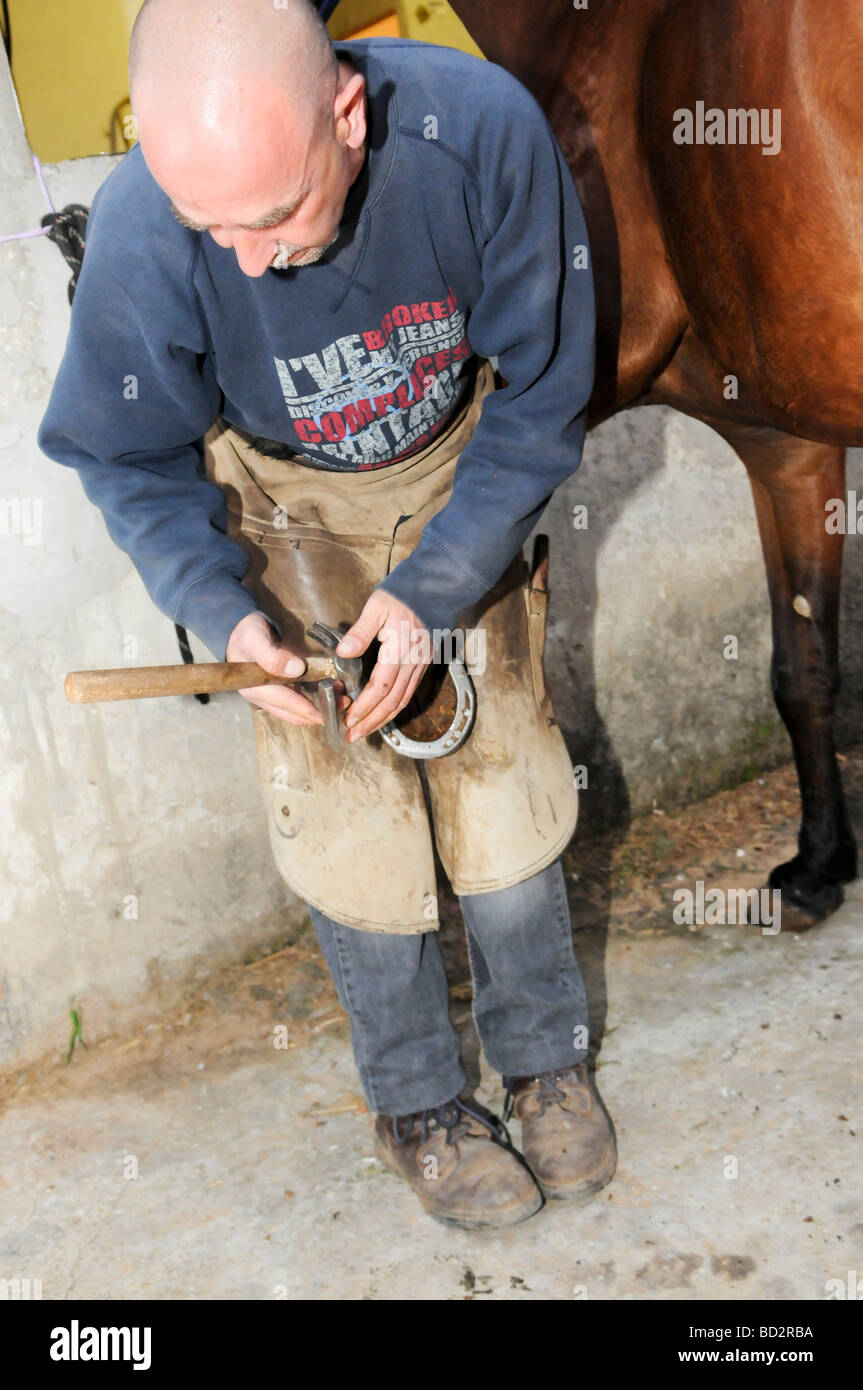 Hufschmied Vorbereitung einen Pferd s HUF entfernen den alten Schuh Stockfoto