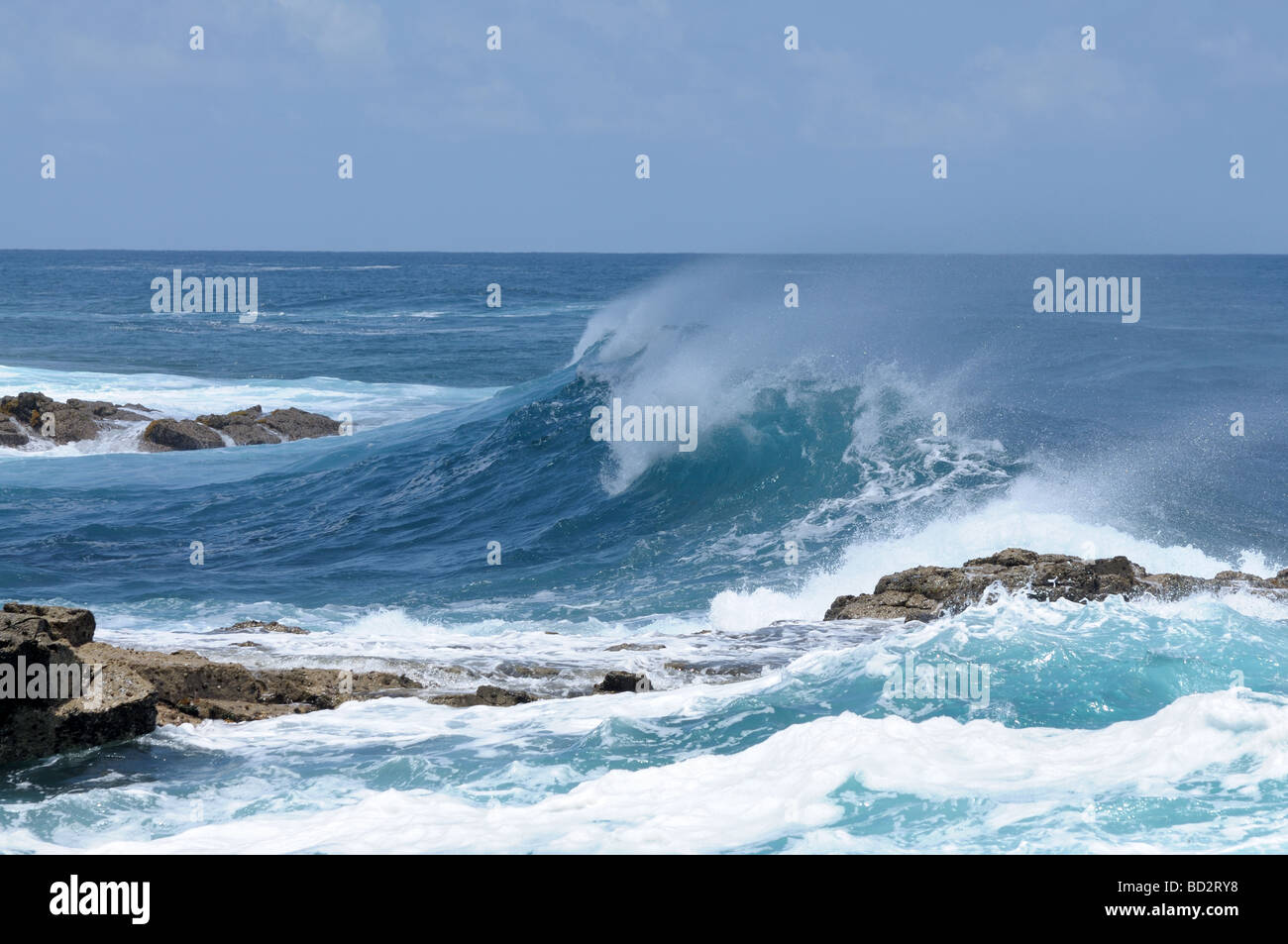 Große Welle auf der atlantischen Küste von Fuerteventura, Kanarische Inseln Stockfoto