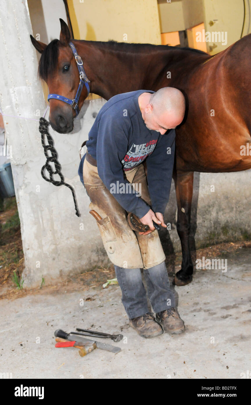 Hufschmied Vorbereitung einen Pferd s HUF entfernen den alten Schuh Stockfoto