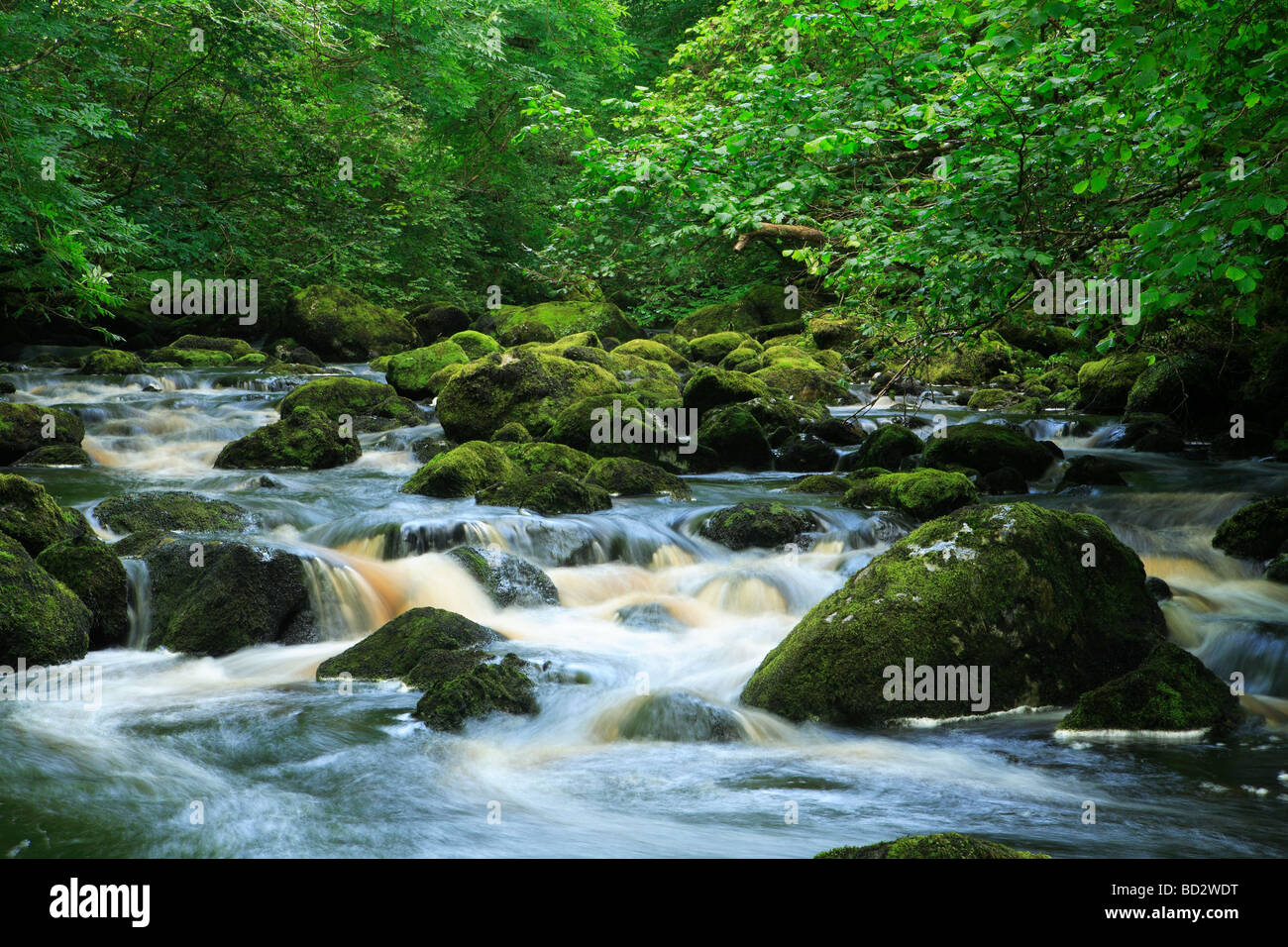 Claddagh River Irland Stockfoto