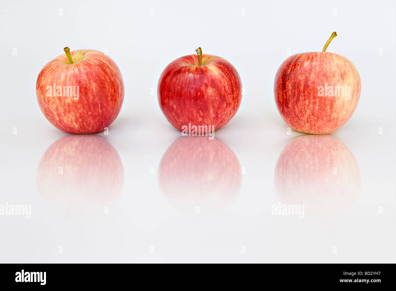 Studioaufnahme von drei Gala-Äpfeln mit Reflexion vor weißem Hintergrund Stockfoto