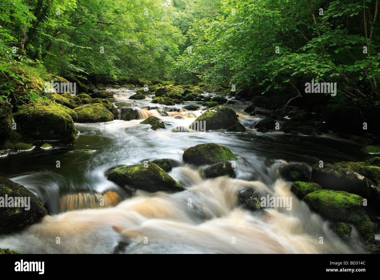 Claddagh Fluss Fermanagh Irland Stockfoto