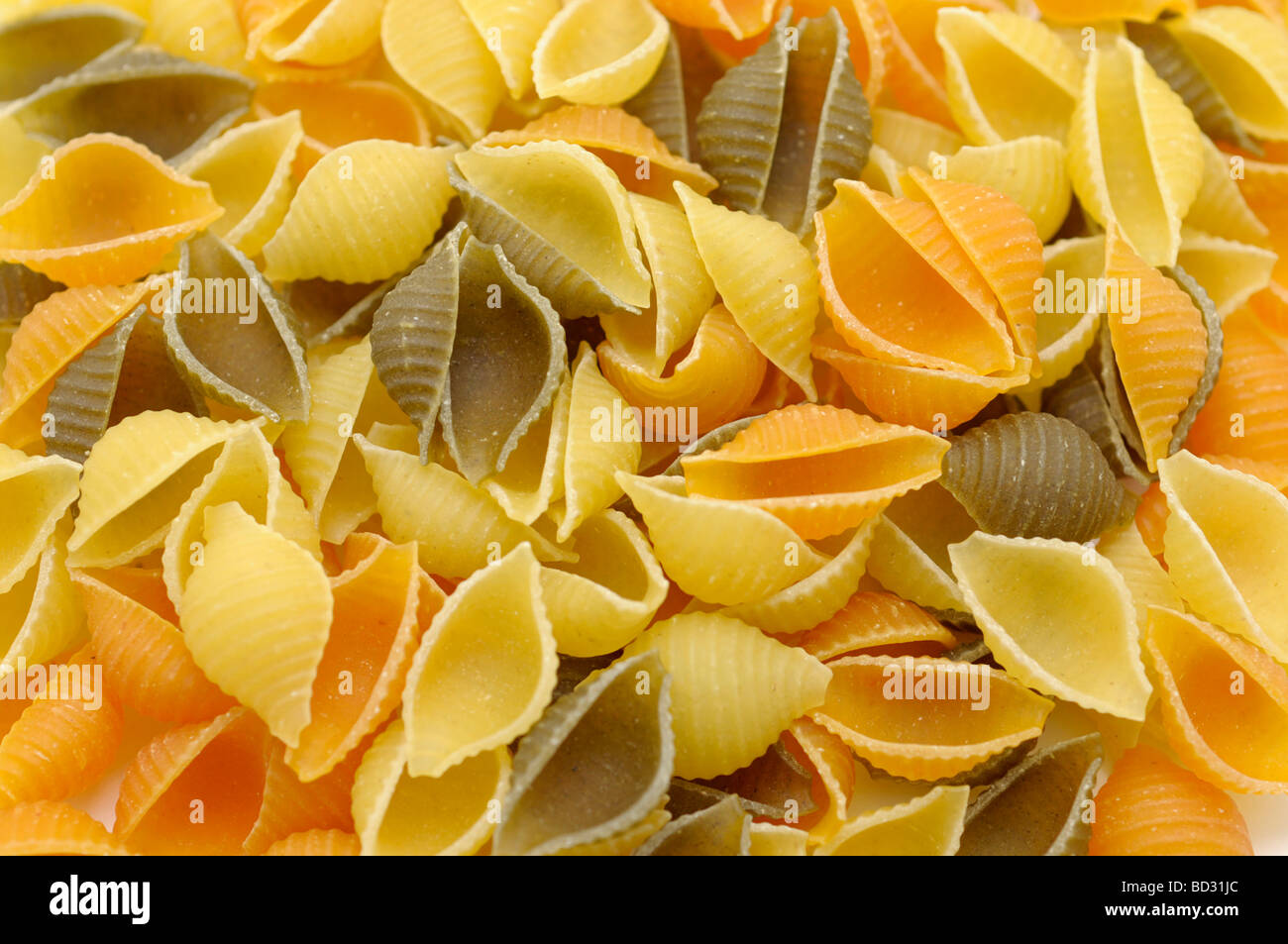 Pasta Shells, trockene Teigwaren Stockfoto