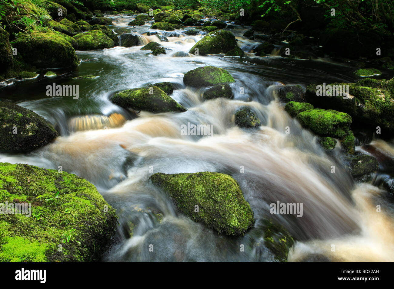 Claddagh River Irland Stockfoto