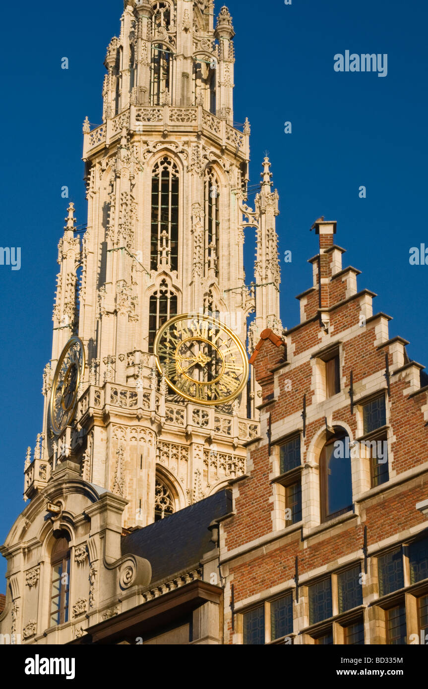 Dom-Turm und Zunfthäuser-Antwerpen-Belgien Stockfoto