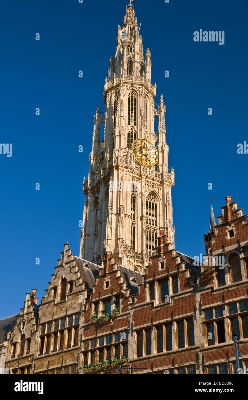 Dom-Turm und Zunfthäuser-Antwerpen-Belgien Stockfoto