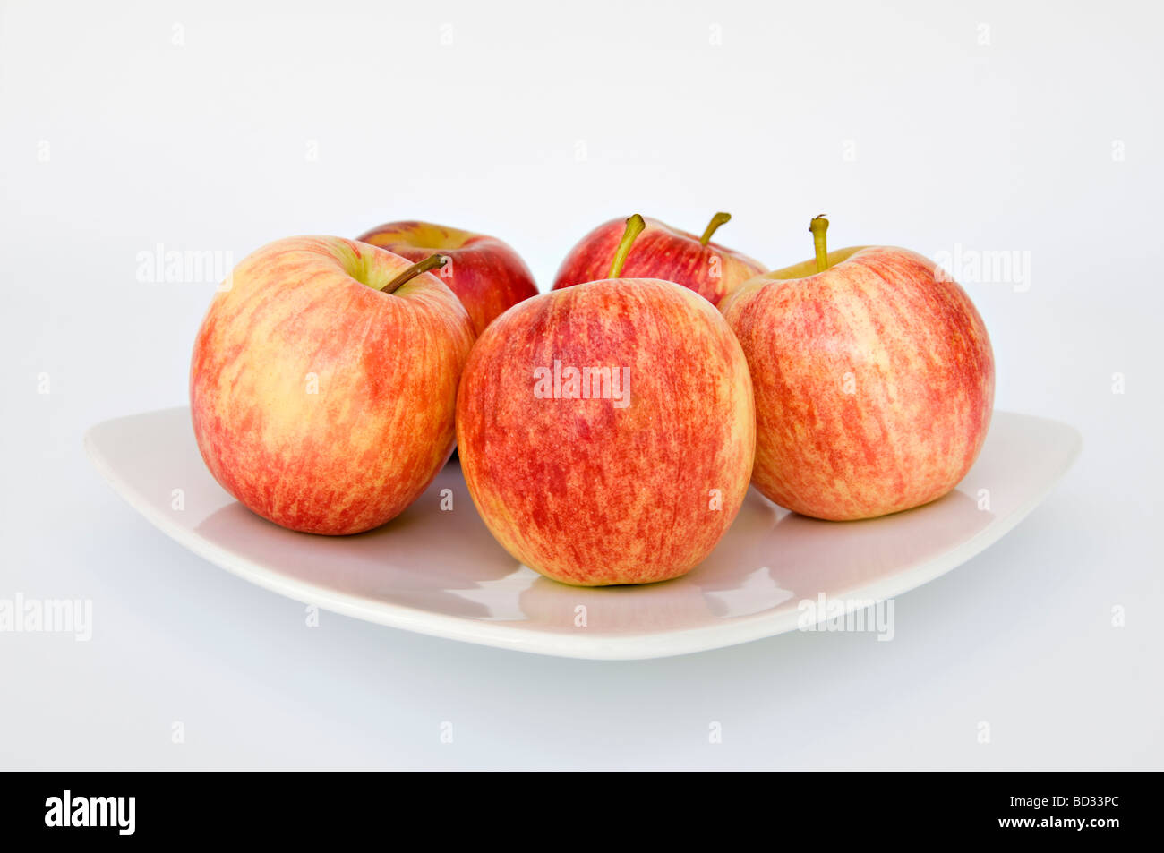 Studioaufnahme von fünf roten Gala Äpfel auf einem weißen Teller vor weißem Hintergrund Stockfoto