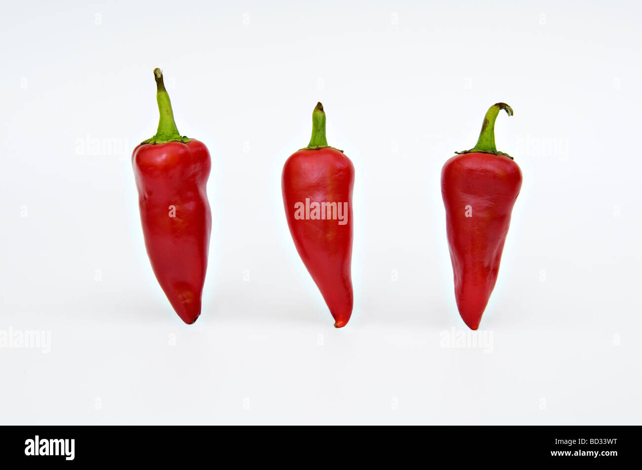 Studioaufnahme von drei roten Chilischoten genommen vor einem weißen Hintergrund stehend Stockfoto