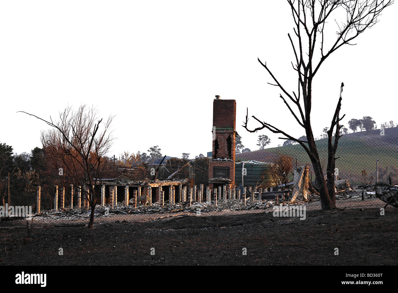 Australische bush Brandschaden, australische Bush fire Nachwirkungen, Post australische Bush Feuer, Stockfoto