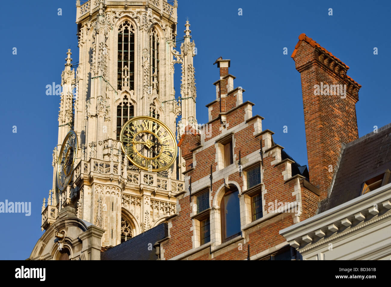 Dom-Turm und Zunfthäuser-Antwerpen-Belgien Stockfoto