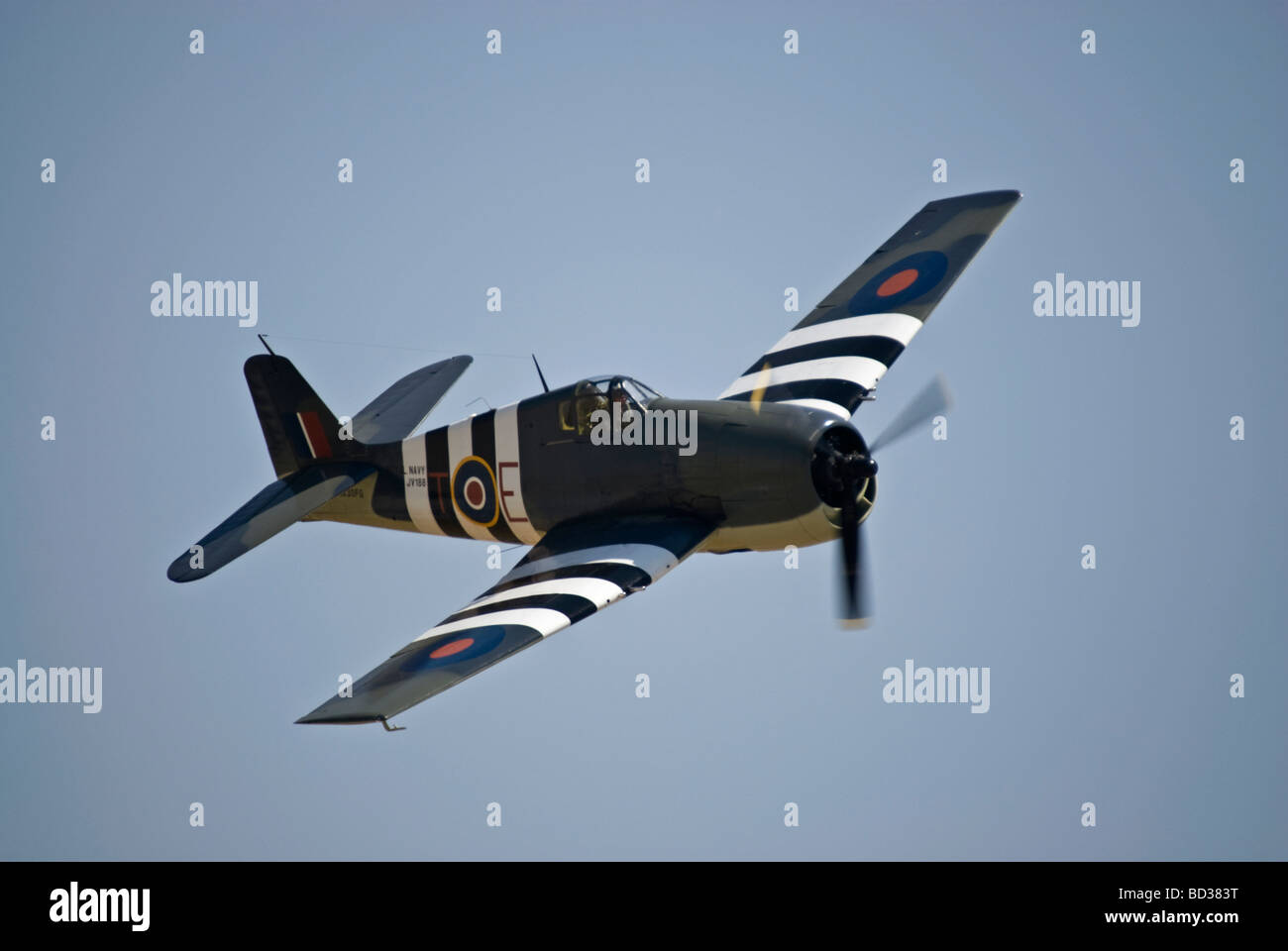 Eine Grumman F6F Hellcat fliegt auf einer Flugshow. Stockfoto
