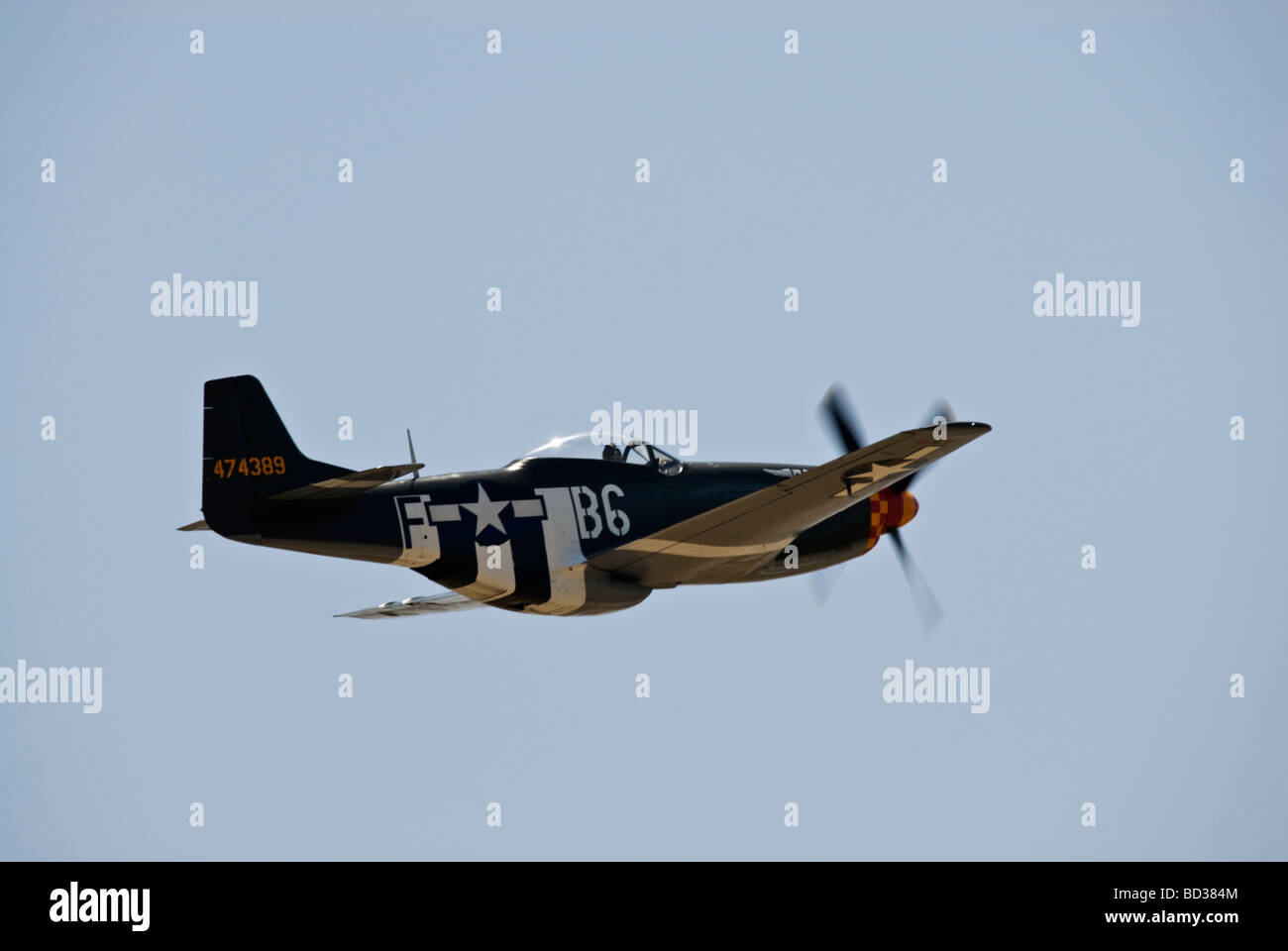 Ein p-51 Mustang fliegt auf einer Airshow, dieser Mustang hat Invasion Streifen gemalt. Stockfoto