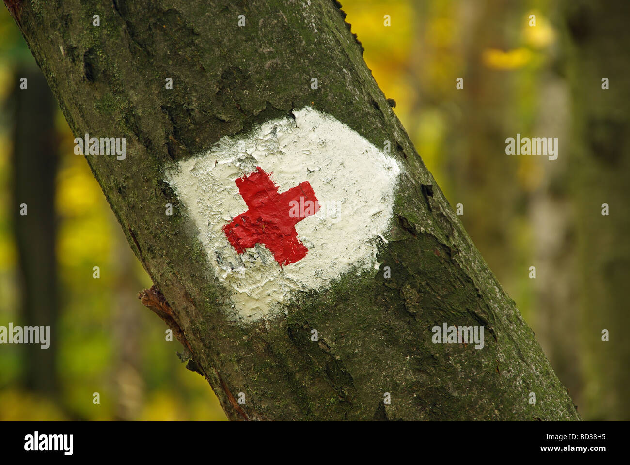 Wanderwegmarkierung Wandern Zeichen 05 Stockfoto