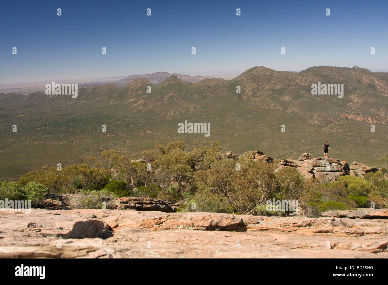 Ein Mann steht auf St Marys Höhepunkt am Wilpena Pound in South Australia Flinders Ranges Stockfoto