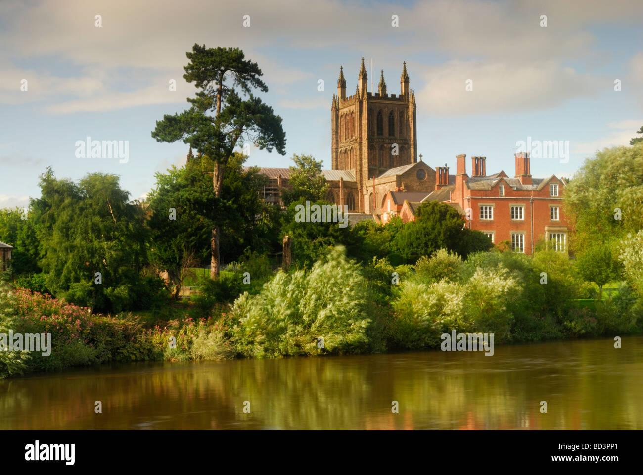 Hereford Kathedrale mit Blick auf den Fluss Wye Hereford Herefordshire England UK Stockfoto